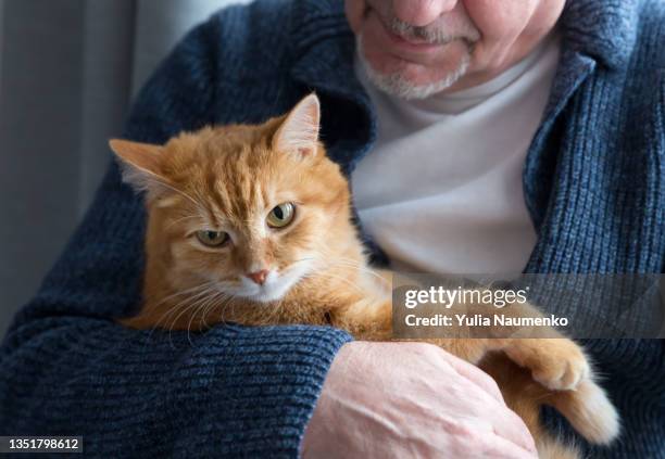 ginger cat in the arms of a man - hairy men bildbanksfoton och bilder