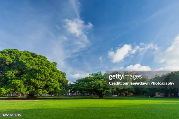 campus yard - park imagens e fotografias de stock