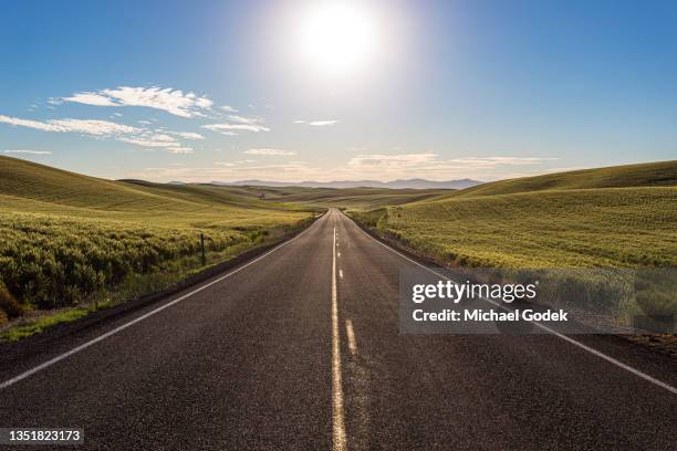 stunning morning view of road through the palouse hills - orizzonte foto e immagini stock