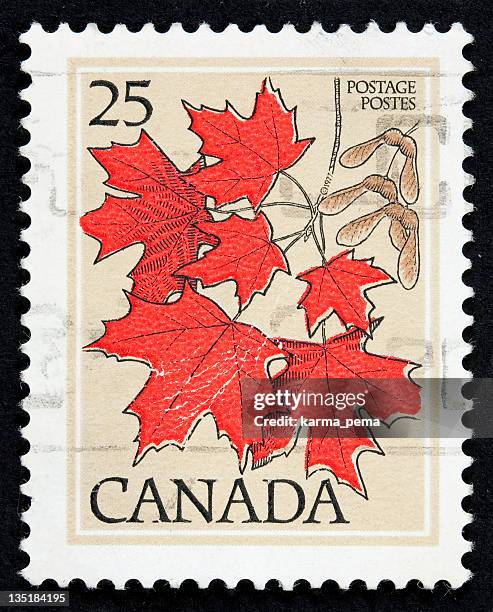 a canadian stamp with red maple leaves - maple tree canada stock pictures, royalty-free photos & images