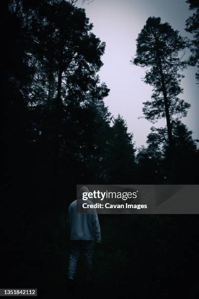 one man wearing a white hoodie walking in a dark forest - chignahuapan stock pictures, royalty-free photos & images