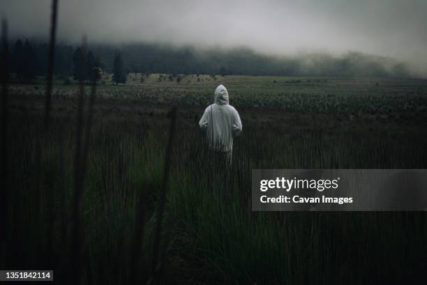 one man wearing a white hoodie staring at a foggy grassland - chignahuapan stock pictures, royalty-free photos & images