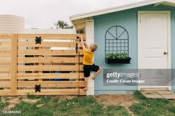 six year old boy climbs fence to unlock gate in green backyard - child climbing stock pictures, royalty-free photos & images