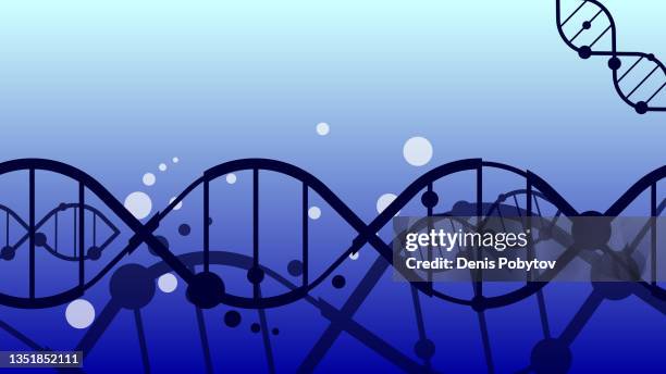 simple banner illustration - dna chains, bonds, molecules and particles. - links in the chain of human evolution stock illustrations