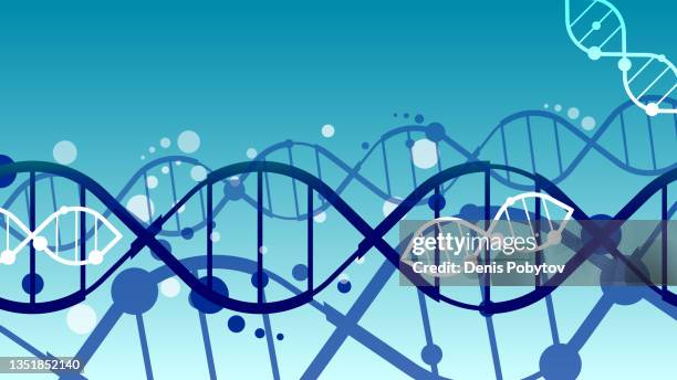 simple banner illustration - dna chains, bonds, molecules and particles. - links in the chain of human evolution stock illustrations
