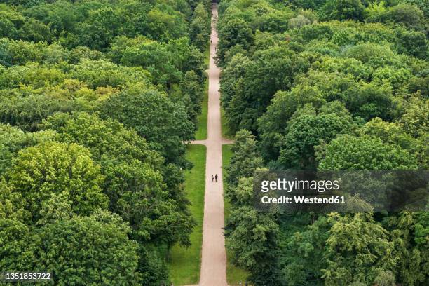 germany, berlin, aerial view of footpath stretching across tiergarten park in summer - tiergarten stockfoto's en -beelden