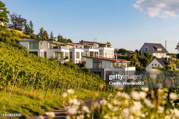 germany, baden-wurttemberg, stuttgart, vineyard in front of modern suburb houses in rotenberg - baden württemberg fotografías e imágenes de stock