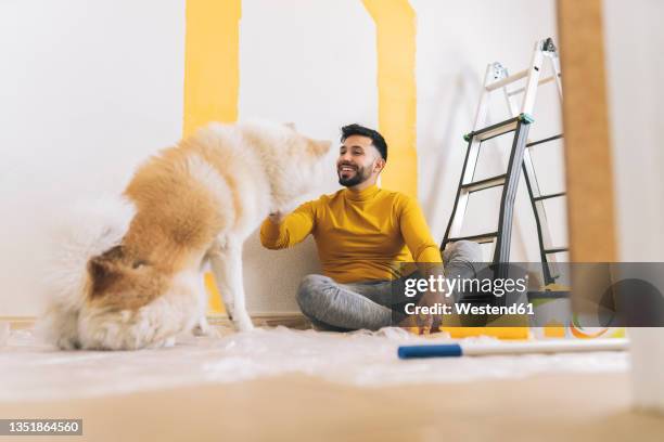 smiling man stroking dog at home - full body paint stock pictures, royalty-free photos & images