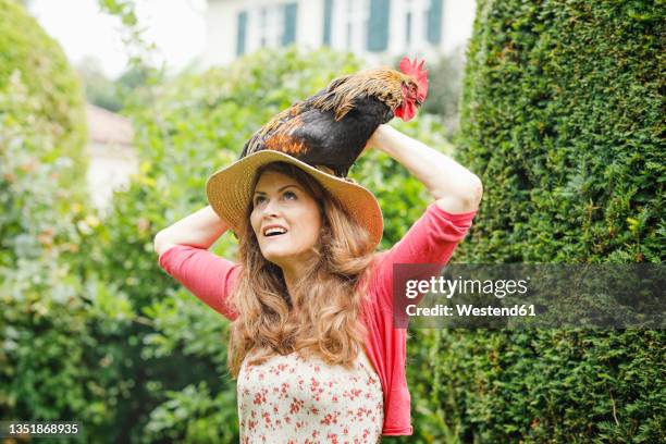 mature woman carrying rooster on head in backyard - carregar na cabeça - fotografias e filmes do acervo