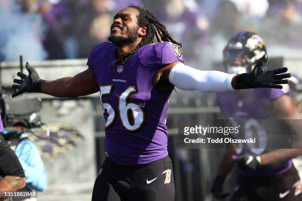 Josh Bynes of the Baltimore Ravens takes the field prior to the game against the Minnesota Vikings at M&T Bank Stadium on November 07, 2021 in...