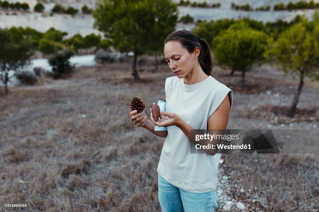 Female scientist with book doing research on pine cones in field