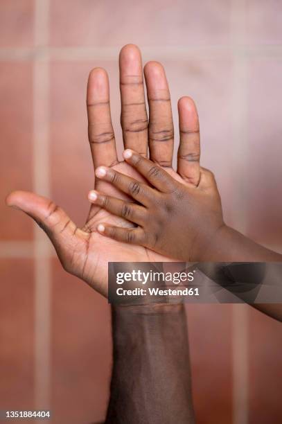 girl touching hand of father - baby eltern von oben stock-fotos und bilder