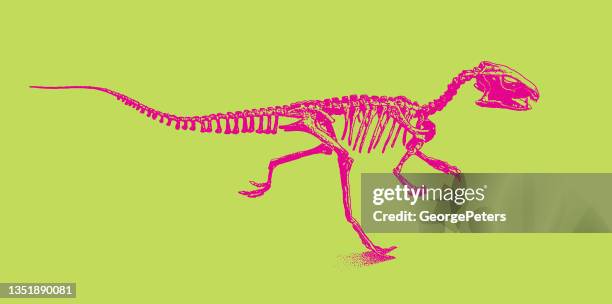 ジュラ紀の恐竜骨格 - 動物の骸骨点のイラスト素材／クリップアート素材／マンガ素材／アイコン素材