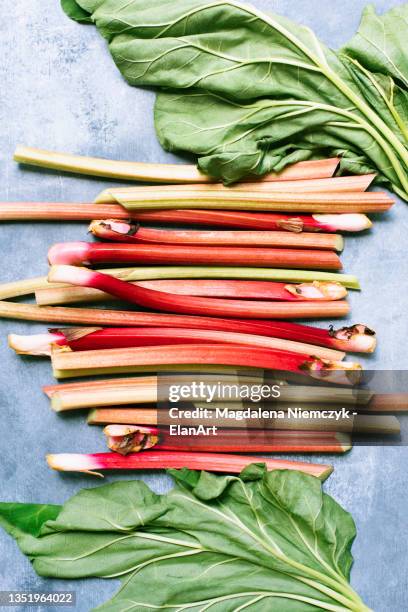studio shot of rhubarb - rabarber stockfoto's en -beelden