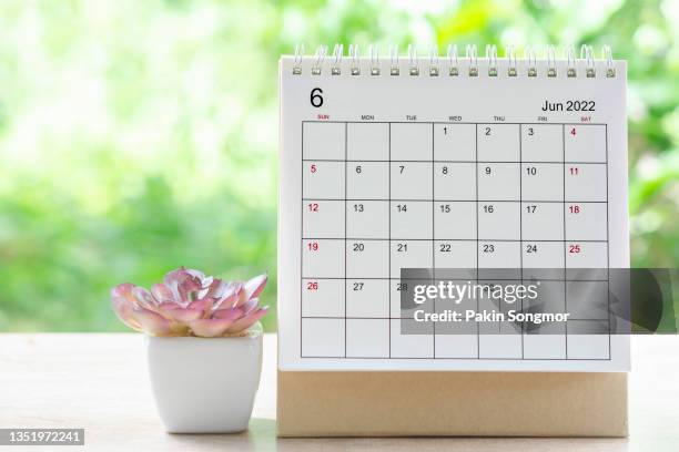 calendar desk 2022 on june month, calendar planning and houseplant on wooden table with green tree nature background. - june stock pictures, royalty-free photos & images