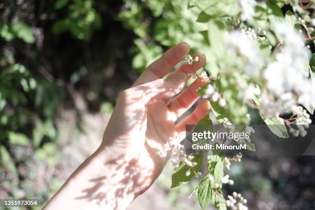 a hand reaching flowers - life style ストックフォトと画像