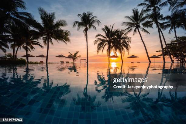 beautiful tropical beach front hotel resort with swimming pool and palm trees during a warm sunny day. - resort pool stock-fotos und bilder