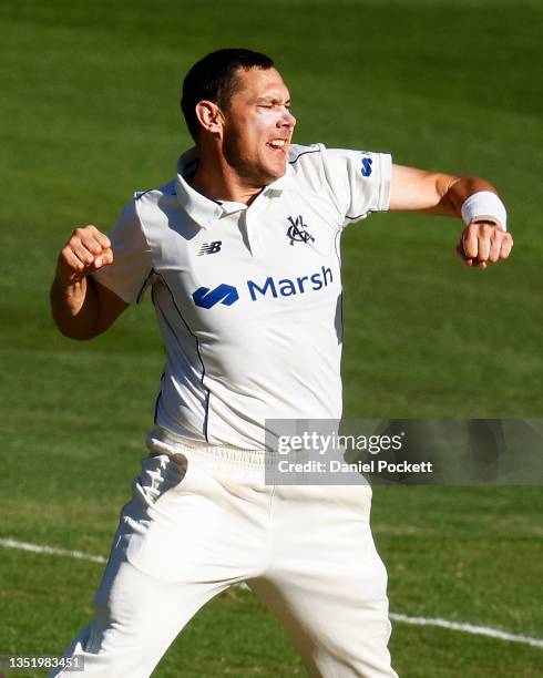 Scott Boland of Victoria celebrates taking the final wicket by dismissing Trent Copeland of New South Wales during day four of the Sheffield Shield...