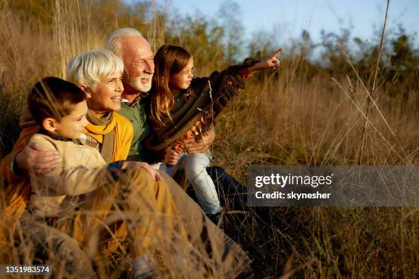 happy grandparents relaxing with their small grandkids in autumn day. - long grass bildbanksfoton och bilder