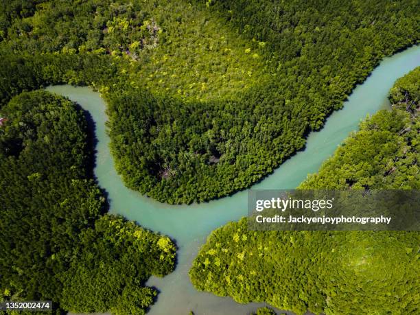 aerial view of koh chang is seen in trat province, thailand. - australian rainforest photos et images de collection