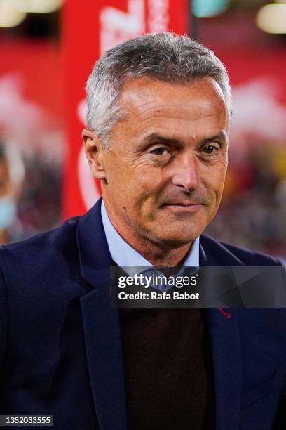 Fran Escriba head coach of Elche CF looks on prior the La Liga Santander match between RCD Mallorca and Elche CF at Estadio de Son Moix on November...