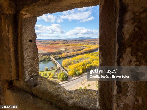 vineyards through the window - ebro river stock pictures, royalty-free photos & images