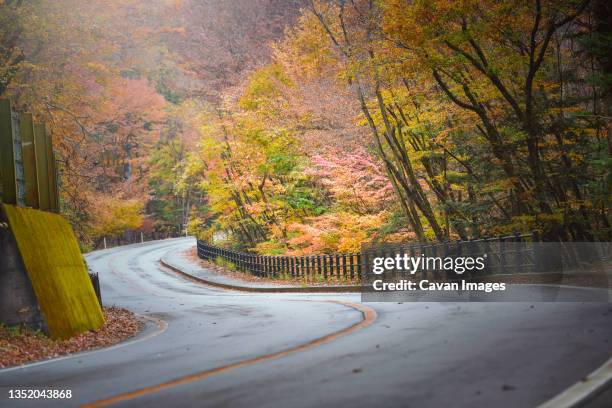 beautiful valley mountain hill with seasonal colorful trees - ancient ストックフォトと画像
