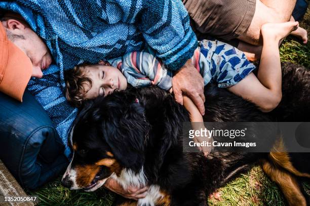 tender moment with father and son napping with family dog - arlington virginia imagens e fotografias de stock
