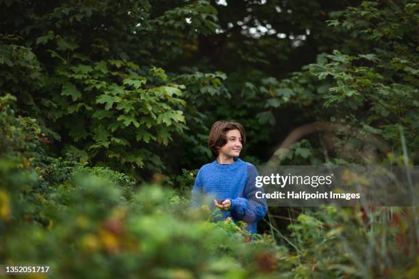 preteen girl picking up berries from garden - garten baum stock-fotos und bilder