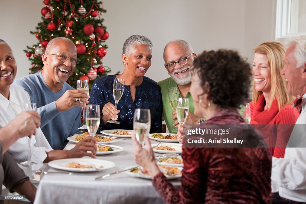 Friends toasting at Christmas dinner party