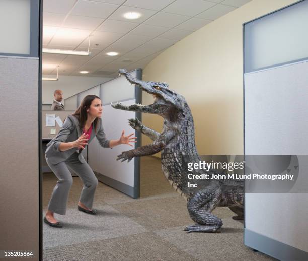 alligator attacking businesswoman in office cubicle - conflict office stock pictures, royalty-free photos & images