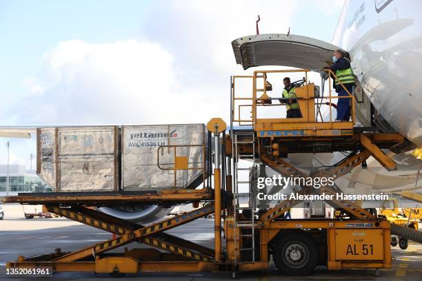 Loaders work an Lufthansa Airbus A 350-941 at Airport Munich Franz-Josef-Strauss International non-stop for Miami on the first day that U.S....