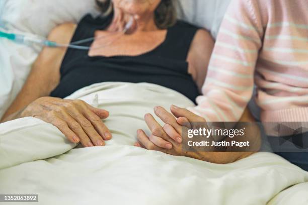 young girl holds the hand of her ill grandmother - ospizio foto e immagini stock