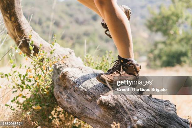low section of young woman standing on tree trunk - hiking boot stock pictures, royalty-free photos & images