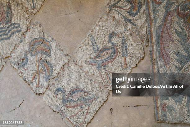 Ancient mosaic pattern depicting flamingo in Madaba Archaeological Park on May 18, 2017 in Madaba, Madaba Province, Jordan.