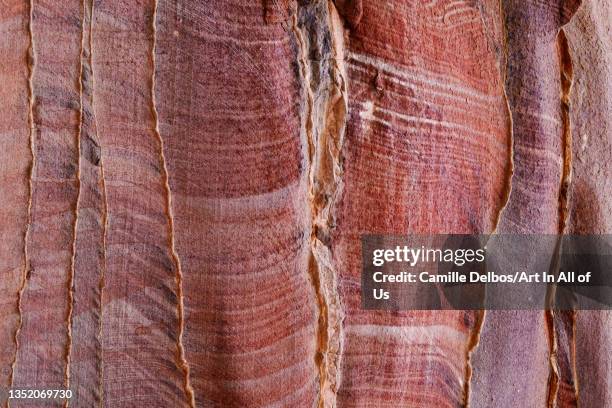 Colorful sandstone wall eroded in a design in Petra World Heritage site on May 20, 2017 in Petra, Maan Province, Jordan.