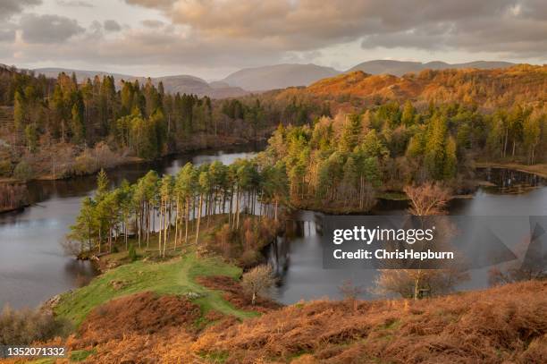 tarn hows sunset, lake district national park, england, uk - ambleside the lake district imagens e fotografias de stock