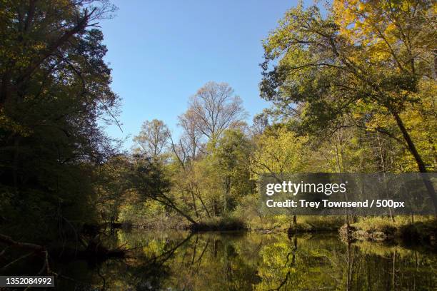 scenic view of lake in forest against sky,manchester,tennessee,united states,usa - manchester tennessee - fotografias e filmes do acervo