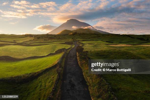 rural road leading to pico volcano, azores islands, portugal - pico azoren stockfoto's en -beelden