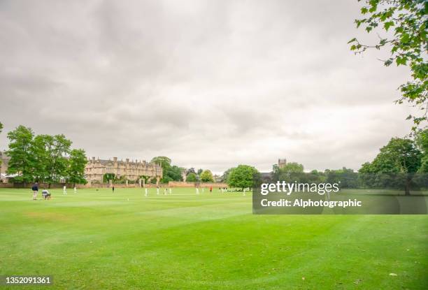 cricket pitches in front of merton college - cricket pitch stock pictures, royalty-free photos & images