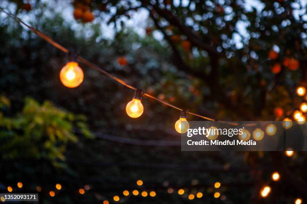 bombillas que cuelgan del cable contra el patio trasero - garden decoration fotografías e imágenes de stock