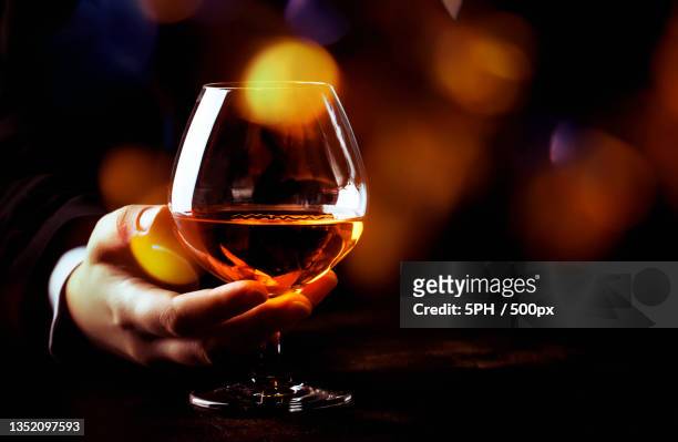 close-up of woman holding wineglass - cognac fotografías e imágenes de stock