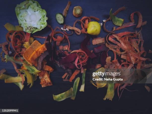 peels of fruits & vegetables for compost recycling - zero-waste, sustainable lifestyle - organic compound - fotografias e filmes do acervo
