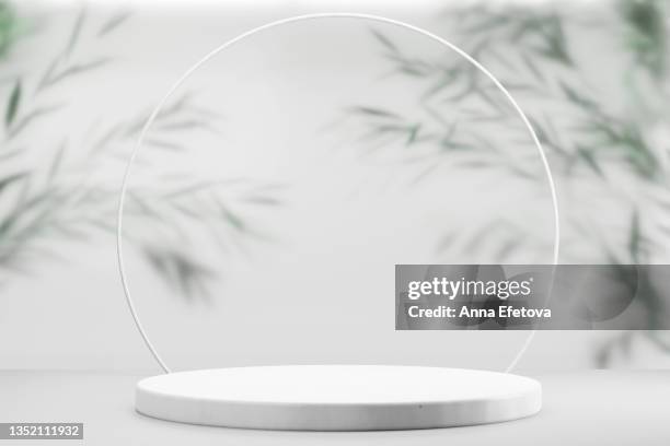 round white ceramic podium with a thin white border on top against background with many green plant leaves behind frosted glass. perfect platform for showing your products. three dimensional illustration - stage light foto e immagini stock