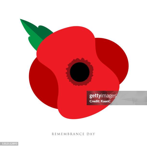 ilustrações, clipart, desenhos animados e ícones de cartão vetorial do dia da lembrança, banner anzac day. ilustração de estoque - dia anzac