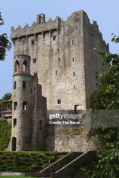 blarney castle - blarney castle stock pictures, royalty-free photos & images