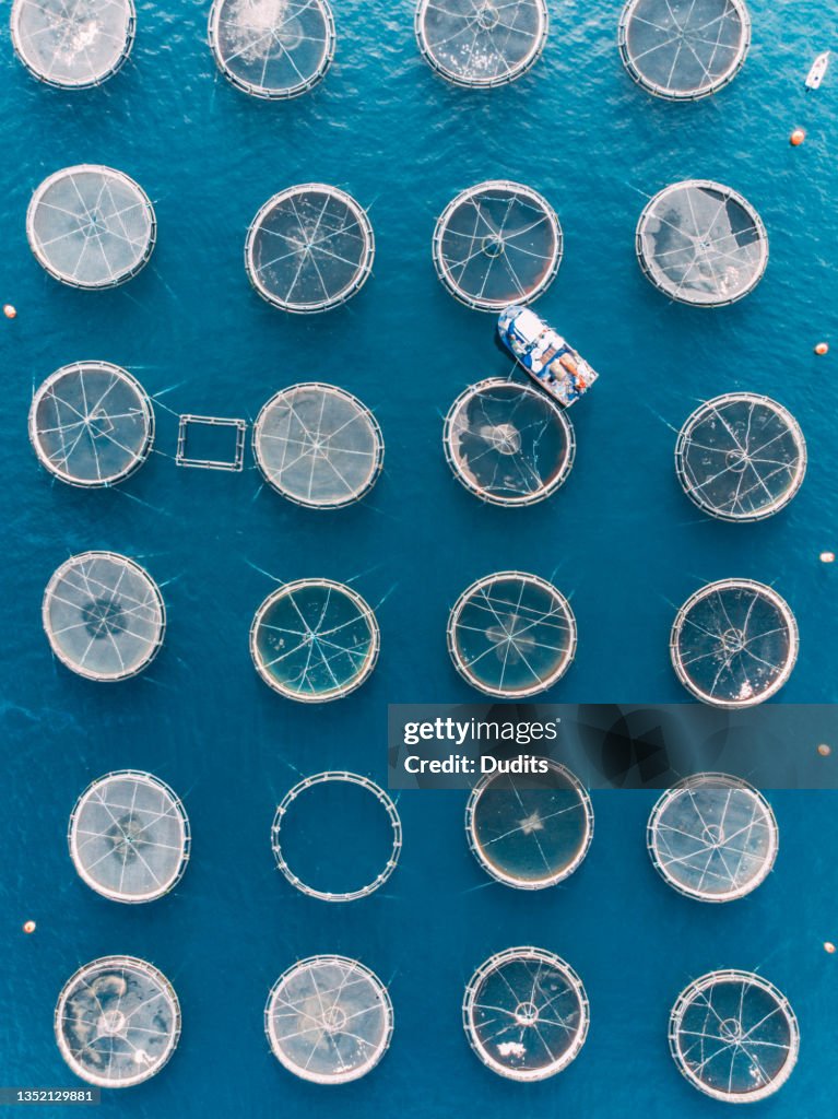 Drone View Fish Farms in the Sea