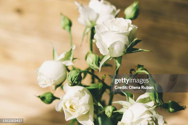 White Wood Roses White Roses On Wood Photos and Premium High Res Pictures - Getty Images