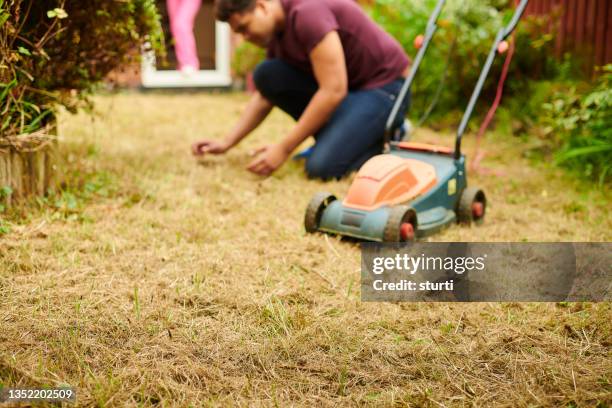 lawn in need of help - death of a straw man stock pictures, royalty-free photos & images