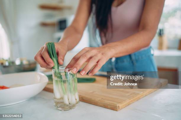 regrowing the spring onion - bosui stockfoto's en -beelden